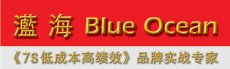 BranDNA : BlueOcean